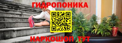 PSILOCYBIN Балахна