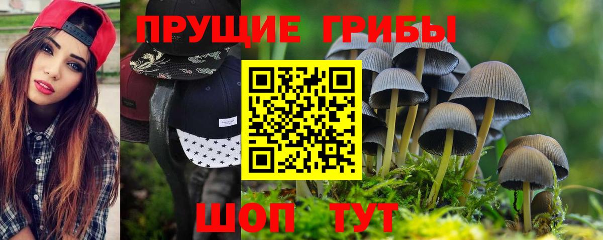 закладка  Галлюциногенные грибы Psilocybe  Вход с VPN  Галлюциногенные грибы Psilocybine cubensis  Ачинск 